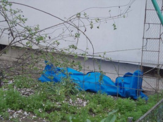 Un bătrân de 82 de ani a căzut de la balcon şi a murit